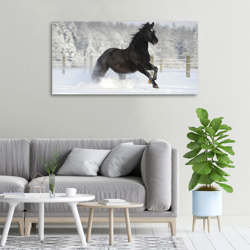 Obraz canvas Tulup Koń śnieg 125x50 cm 1 szt.