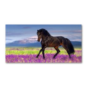 Obraz canvas Tulup Koń pole lawendy 140x70 cm 1 szt.