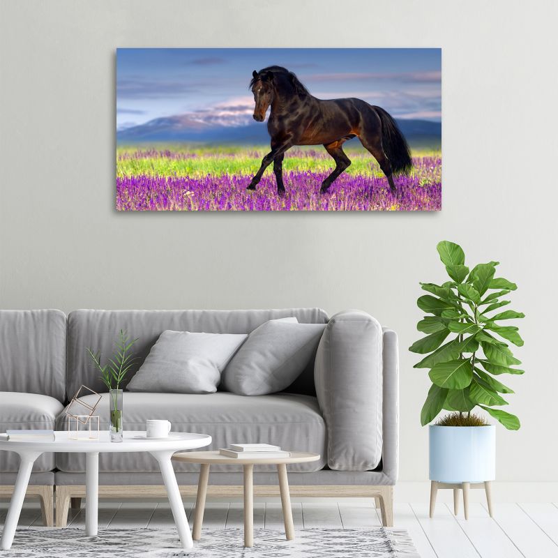 Obraz canvas Tulup Koń pole lawendy 140x70 cm 1 szt.