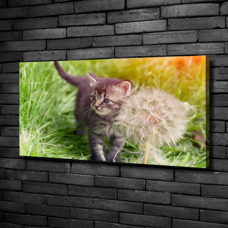Obraz canvas Tulup Kocięta dmuchawiec 125x50 cm 1 szt.
