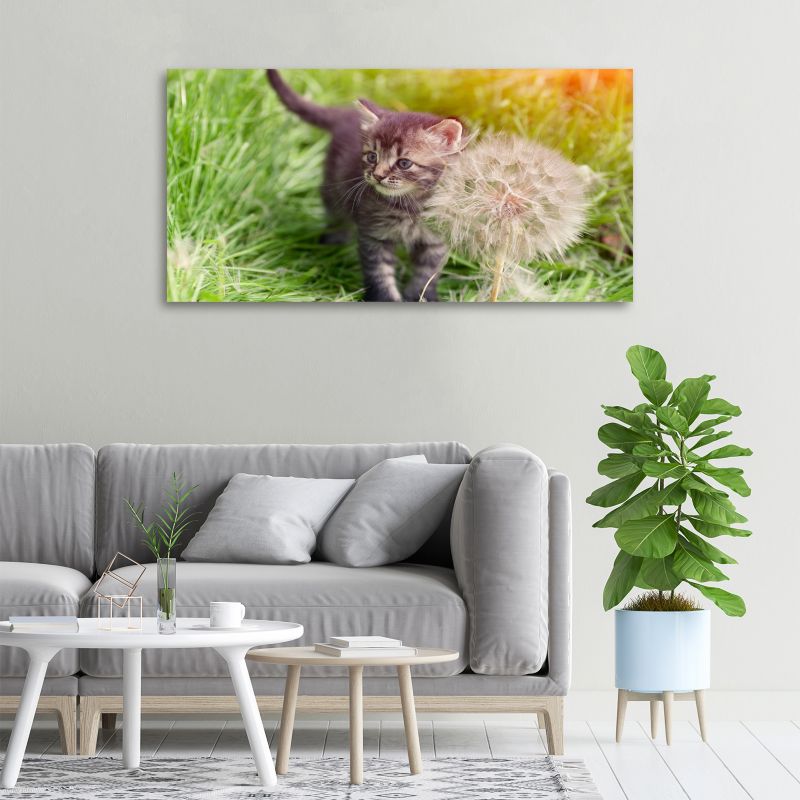 Obraz canvas Tulup Kocięta dmuchawiec 125x50 cm 1 szt.