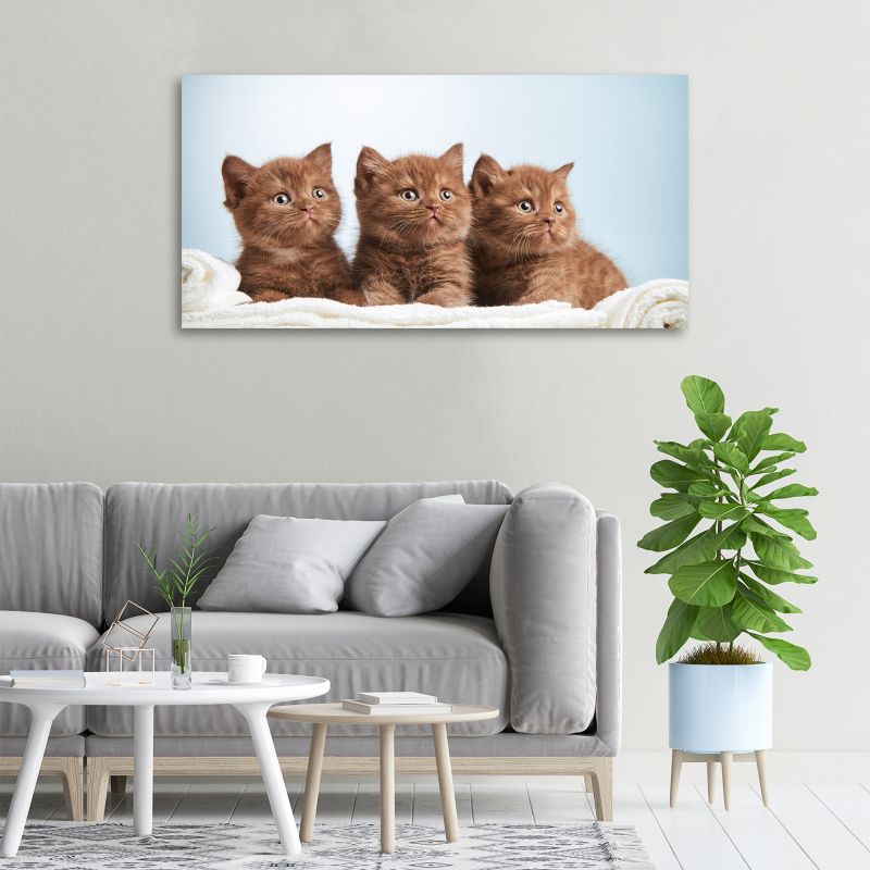 Obraz canvas Tulup Kocięta ręcznik 140x70 cm 1 szt.