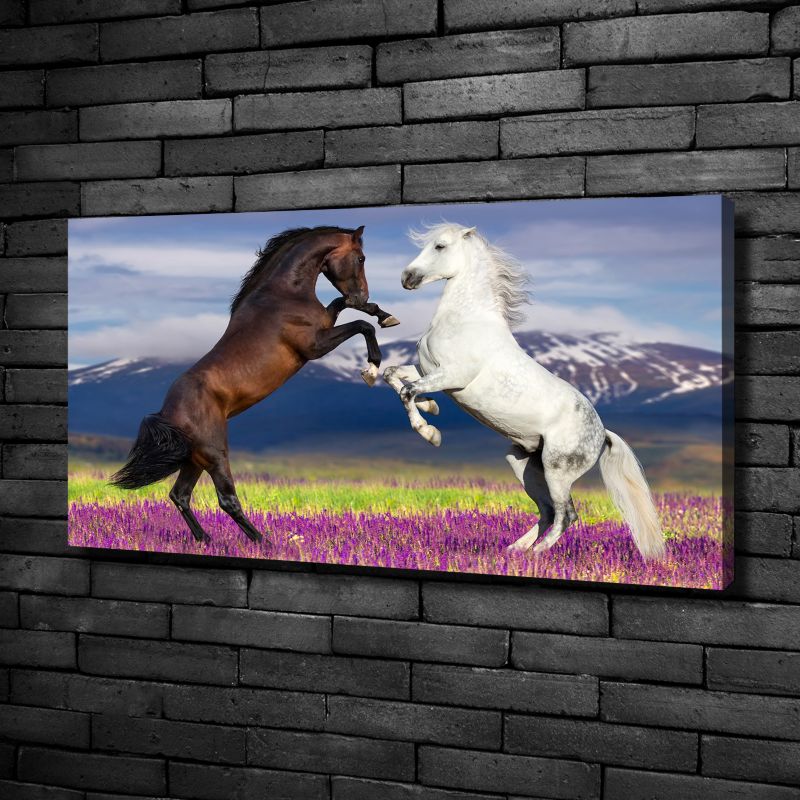 Obraz canvas Tulup Konie góry 120x60 cm 1 szt.