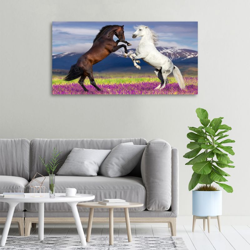 Obraz canvas Tulup Konie góry 120x60 cm 1 szt.