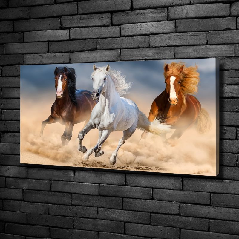 Obraz canvas Tulup Konie na pustyni 125x50 cm 1 szt.