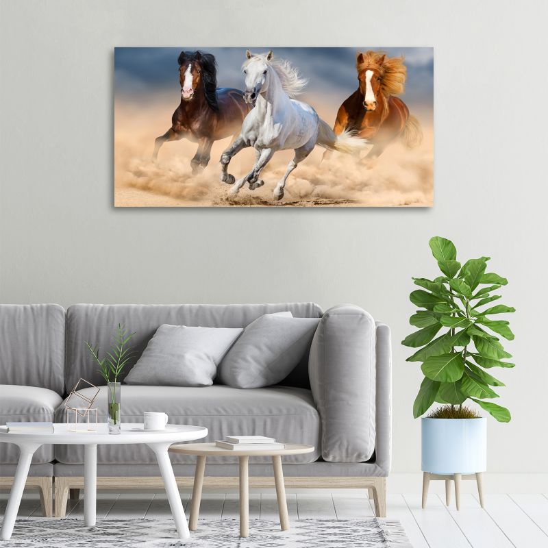 Obraz canvas Tulup Konie na pustyni 125x50 cm 1 szt.