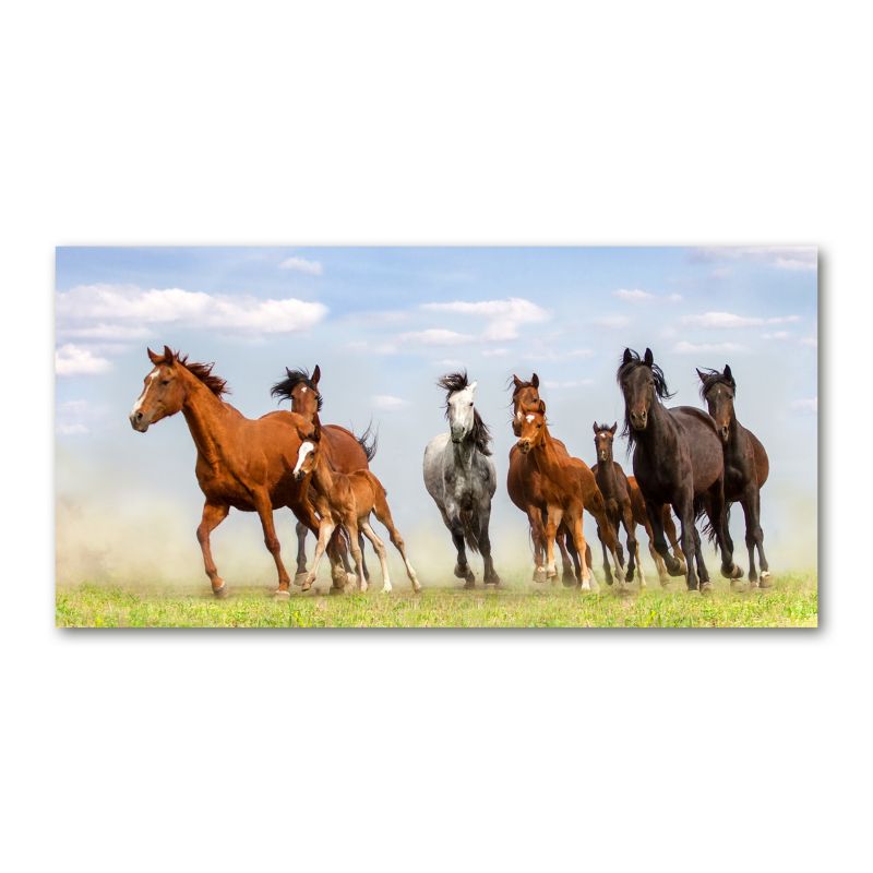 Obraz canvas Tulup Konie w galopie 100x50 cm 1 szt.