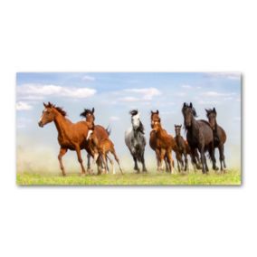 Obraz canvas Tulup Konie w galopie 100x50 cm 1 szt.