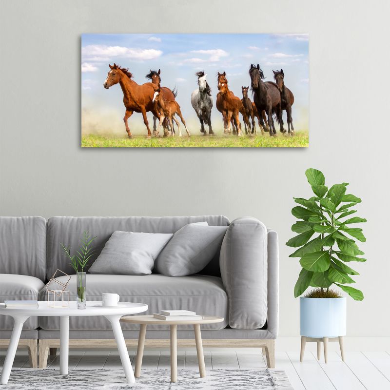 Obraz canvas Tulup Konie w galopie 100x50 cm 1 szt.