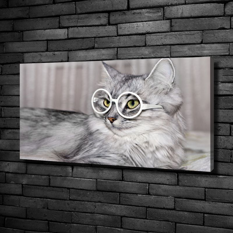 Obraz canvas Tulup Kot w okularach 120x60 cm 1 szt.