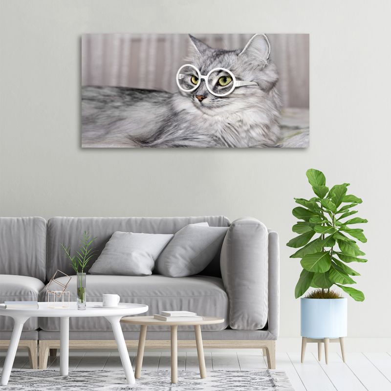 Obraz canvas Tulup Kot w okularach 120x60 cm 1 szt.