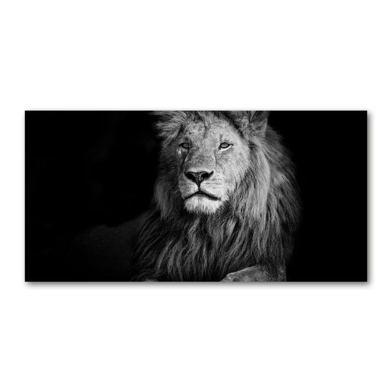 Obraz canvas Tulup Lew 120x60 cm 1 szt.