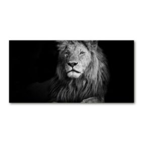 Obraz canvas Tulup Lew 120x60 cm 1 szt.