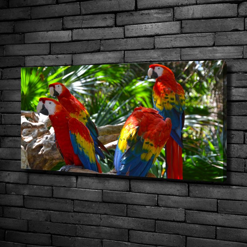 Obraz canvas Tulup Papugi ary 140x70 cm 1 szt.