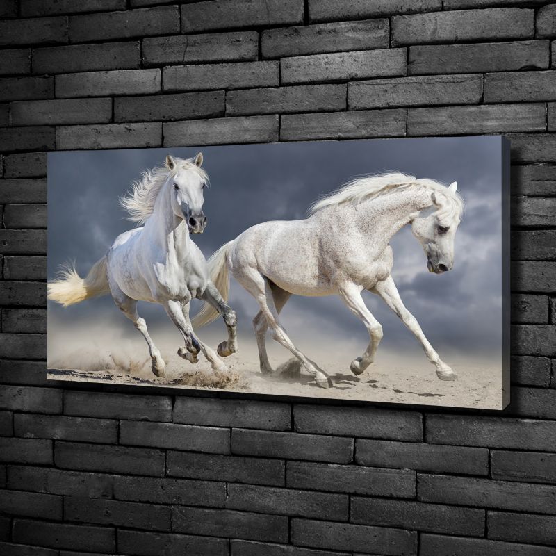 Obraz canvas Tulup Plaża białe konie 120x60 cm 1 szt.