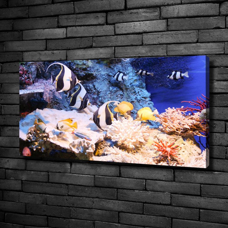 Obraz canvas Tulup Rafa koralowa 125x50 cm 1 szt.