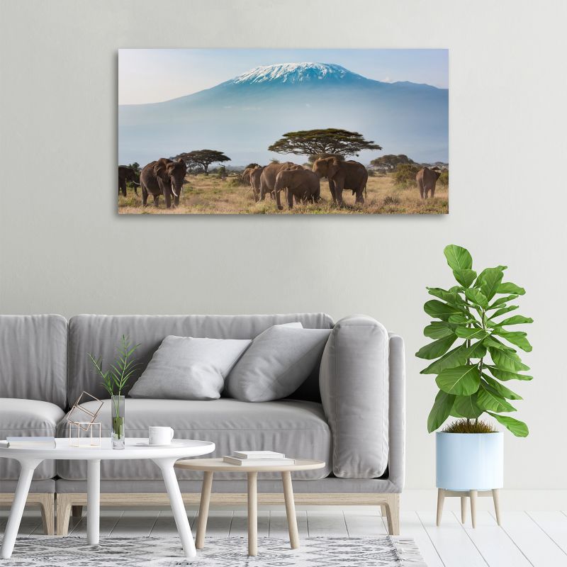 Obraz canvas Tulup Słoń Kilimandżaro 140x70 cm 1 szt.