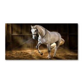 Obraz canvas Tulup Siwek w stajni 120x60 cm 1 szt.