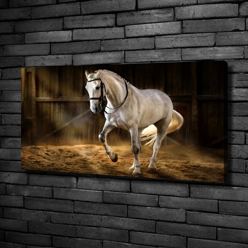 Obraz canvas Tulup Siwek w stajni 140x70 cm 1 szt.