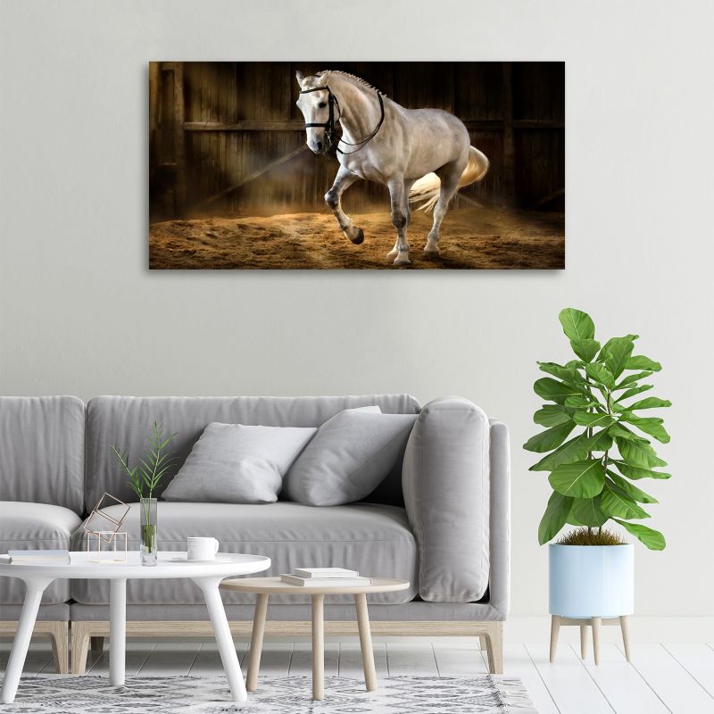 Obraz canvas Tulup Siwek w stajni 140x70 cm 1 szt.