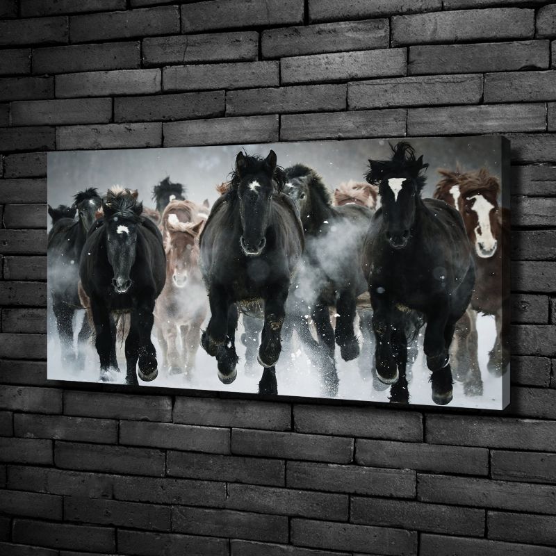 Obraz canvas Tulup Stado koni 125x50 cm 1 szt.