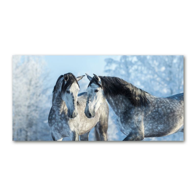 Obraz canvas Tulup Szare konie zima 100x50 cm 1 szt.