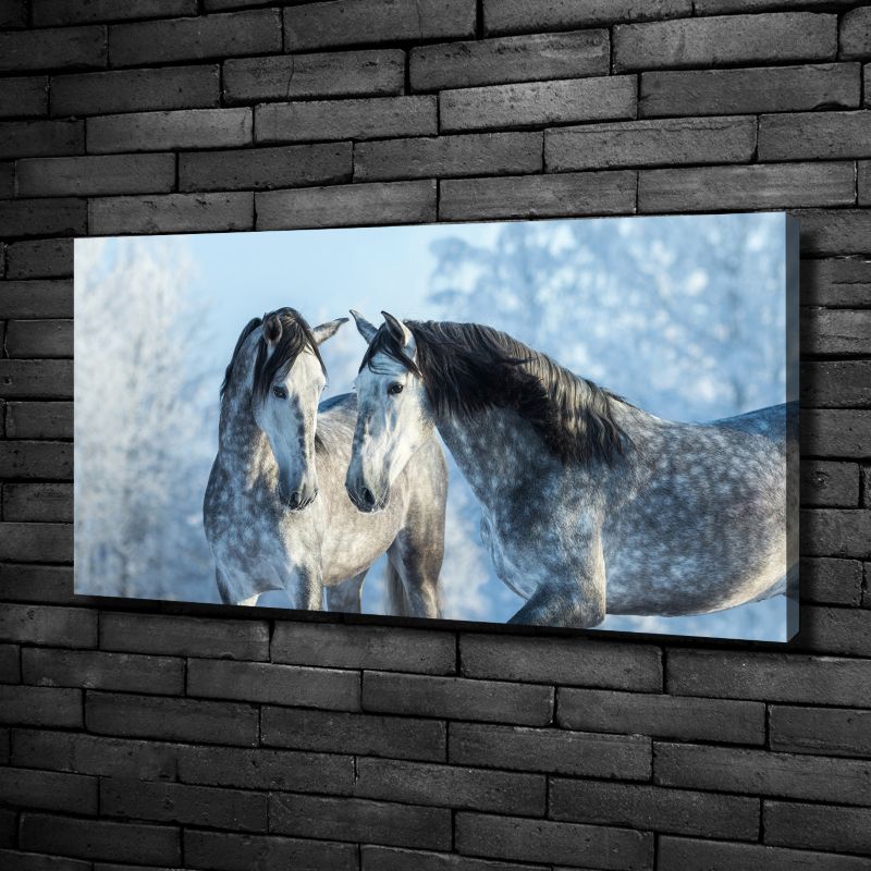 Obraz canvas Tulup Szare konie zima 100x50 cm 1 szt.