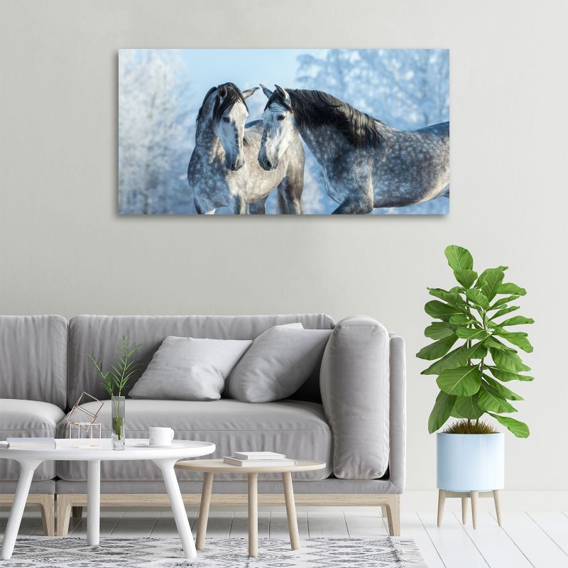 Obraz canvas Tulup Szare konie zima 100x50 cm 1 szt.