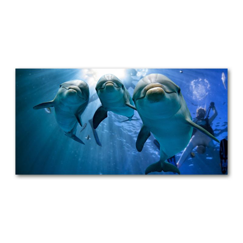 Obraz canvas Tulup Trzy delfiny 120x60 cm 1 szt.