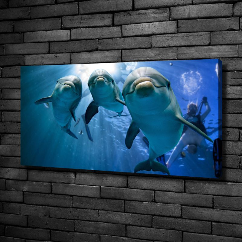 Obraz canvas Tulup Trzy delfiny 120x60 cm 1 szt.