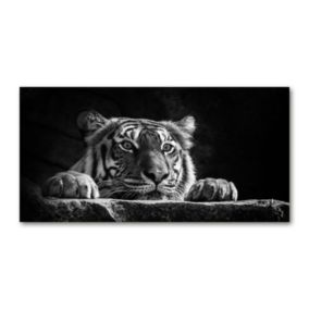 Obraz canvas Tulup Tygrys 100x50 cm 1 szt.