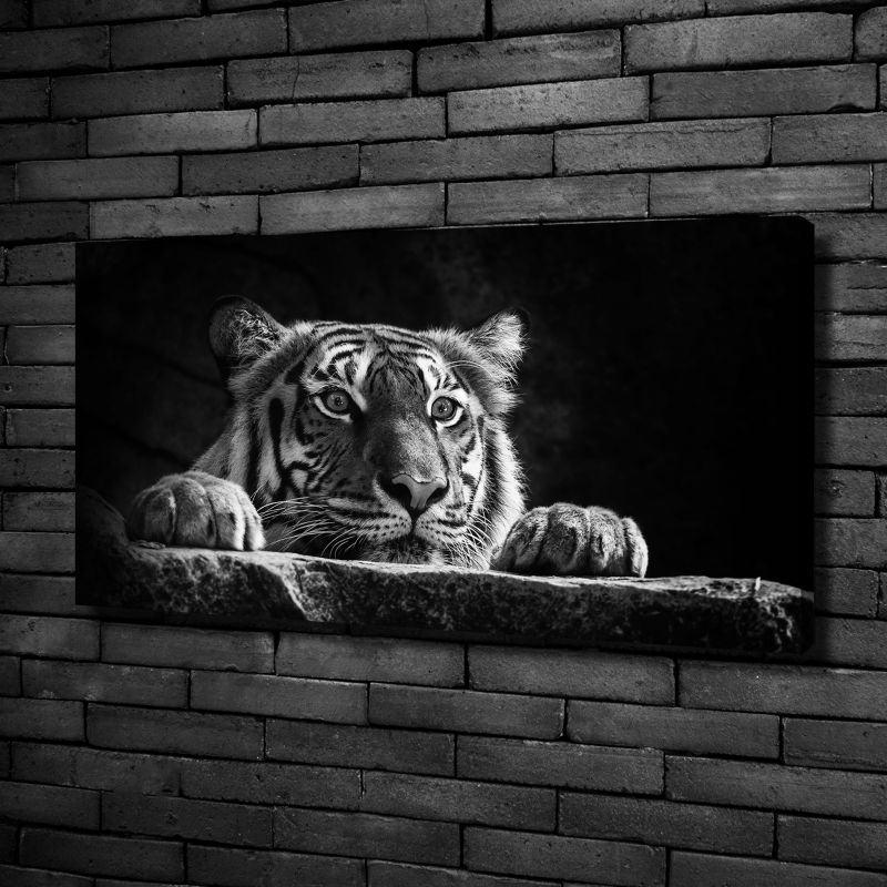 Obraz canvas Tulup Tygrys 120x60 cm 1 szt.