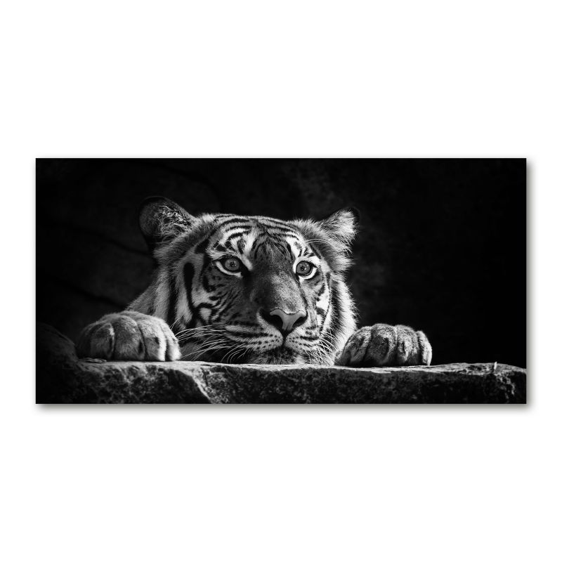 Obraz canvas Tulup Tygrys 125x50 cm 1 szt.
