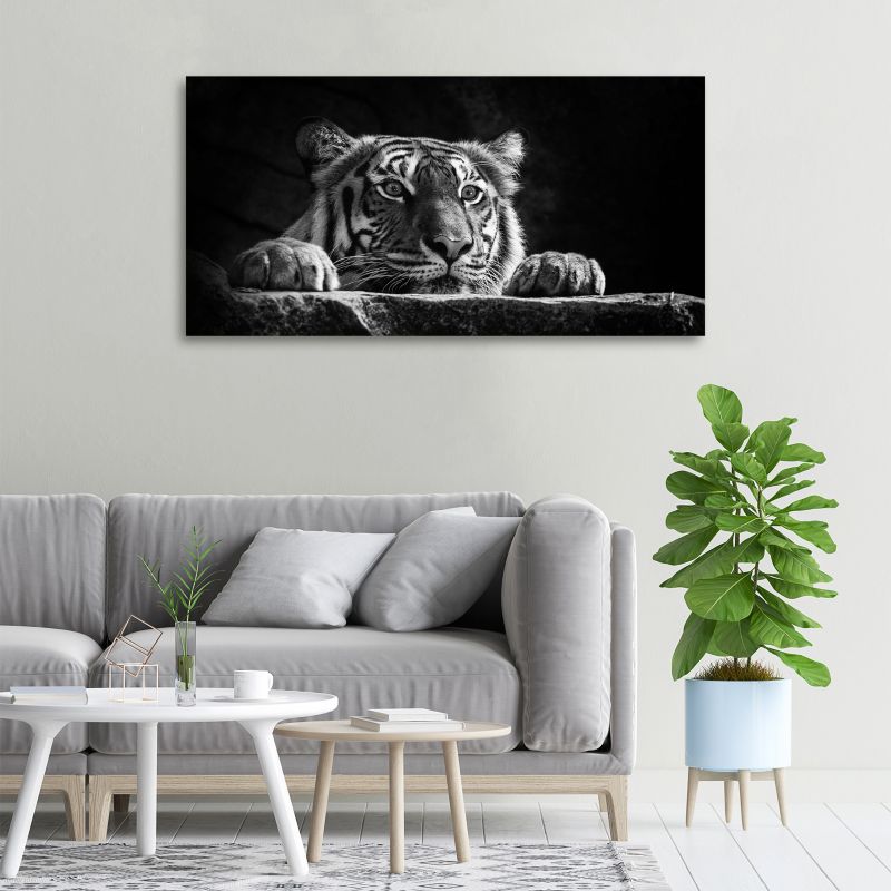 Obraz canvas Tulup Tygrys 125x50 cm 1 szt.