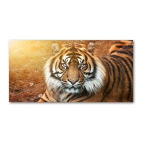 Obraz canvas Tulup Tygrys bengalski 125x50 cm 1 szt.