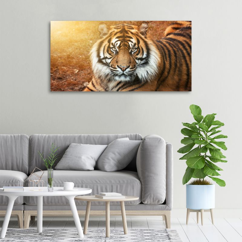 Obraz canvas Tulup Tygrys bengalski 125x50 cm 1 szt.