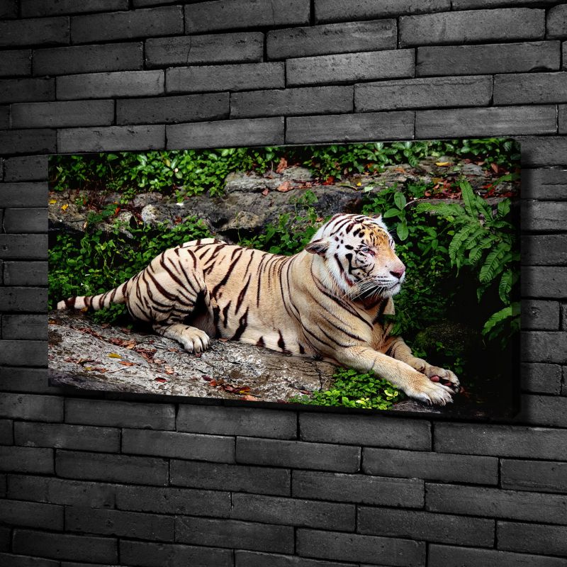 Obraz canvas Tulup Tygrys na skałach 140x70 cm 1 szt.