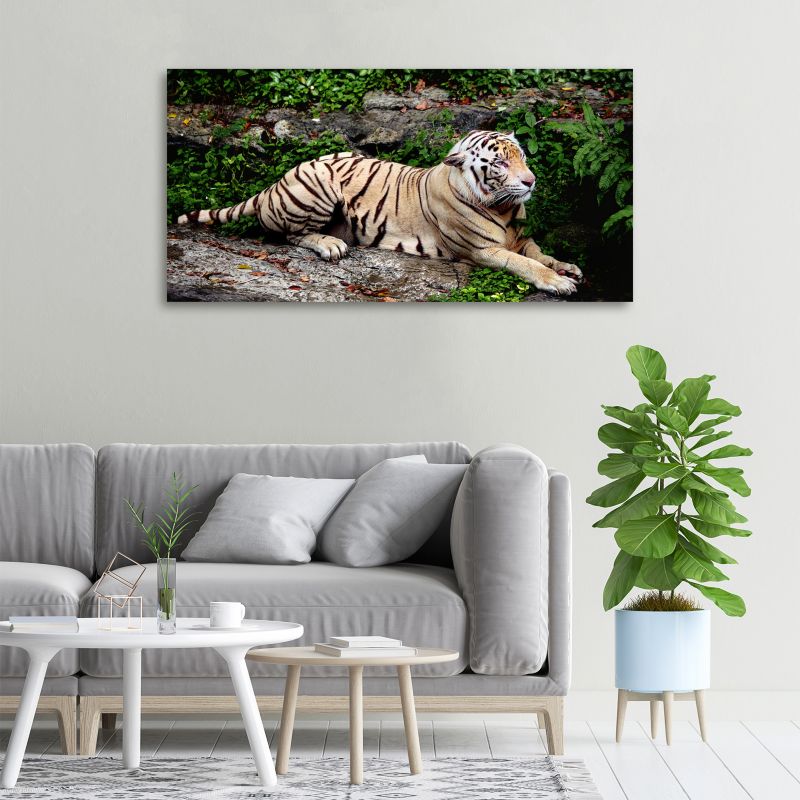 Obraz canvas Tulup Tygrys na skałach 140x70 cm 1 szt.
