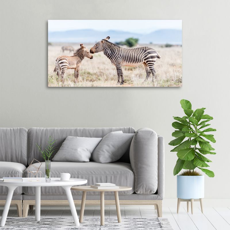 Obraz canvas Tulup Zebry góry 120x60 cm 1 szt.