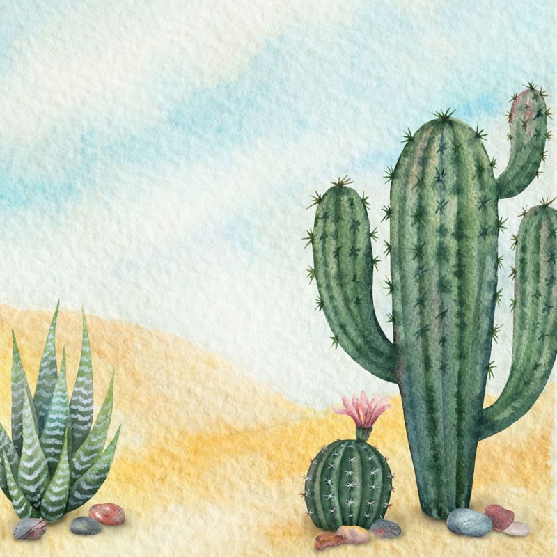 Obraz Deco panel Kaktusy 2 30 x 30 cm