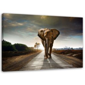 Obraz dekoracja do salonu nowoczesny Feeby Słoń na drodze Brązowy 60x40cm 1szt