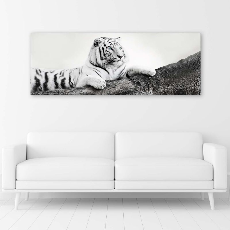 Obraz do salonu biura Feeby Tygrys Zwierzeta Natura Czarno - Biały 150x50cm 1szt