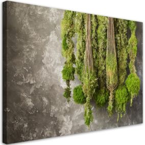 Obraz do salonu Feeby Mech Roślina Natura Zielony 90x60 cm 1szt