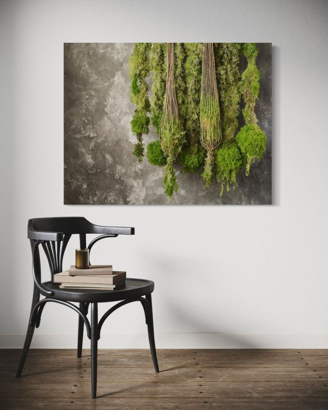 Obraz do salonu Feeby Mech Roślina Natura Zielony 90x60 cm 1szt