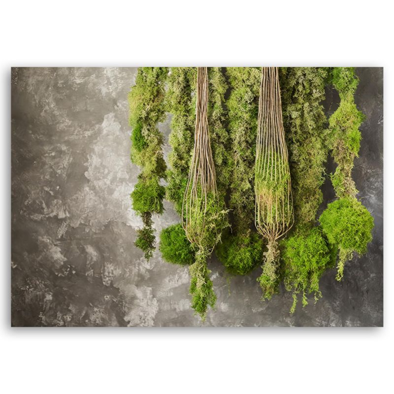 Obraz do salonu Feeby Mech Roślina Natura Zielony 90x60 cm 1szt