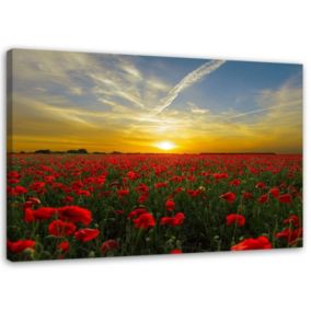 Obraz do salonu na ścianę Feeby Czerwone Maki Polne Zachód Słońca 60x40cm 1szt