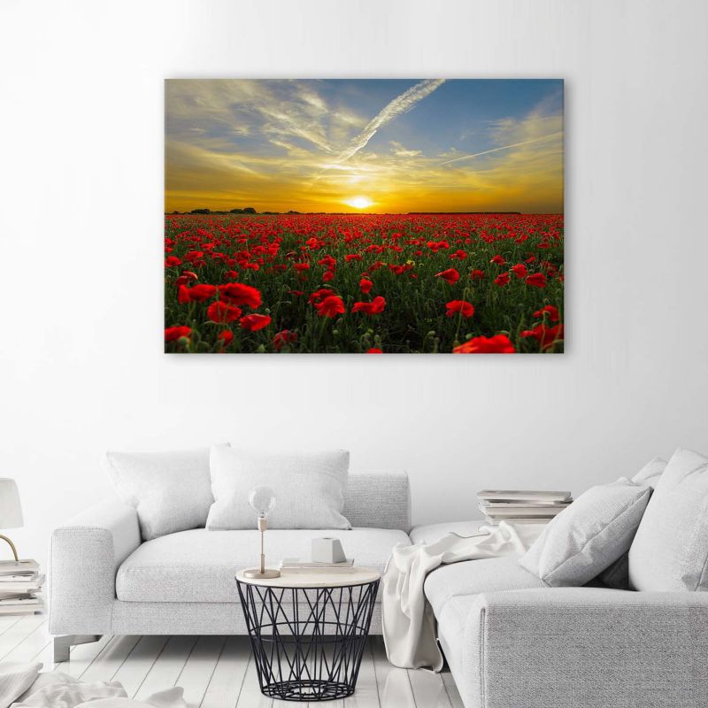 Obraz do salonu na ścianę Feeby Czerwone Maki Polne Zachód Słońca 60x40cm 1szt
