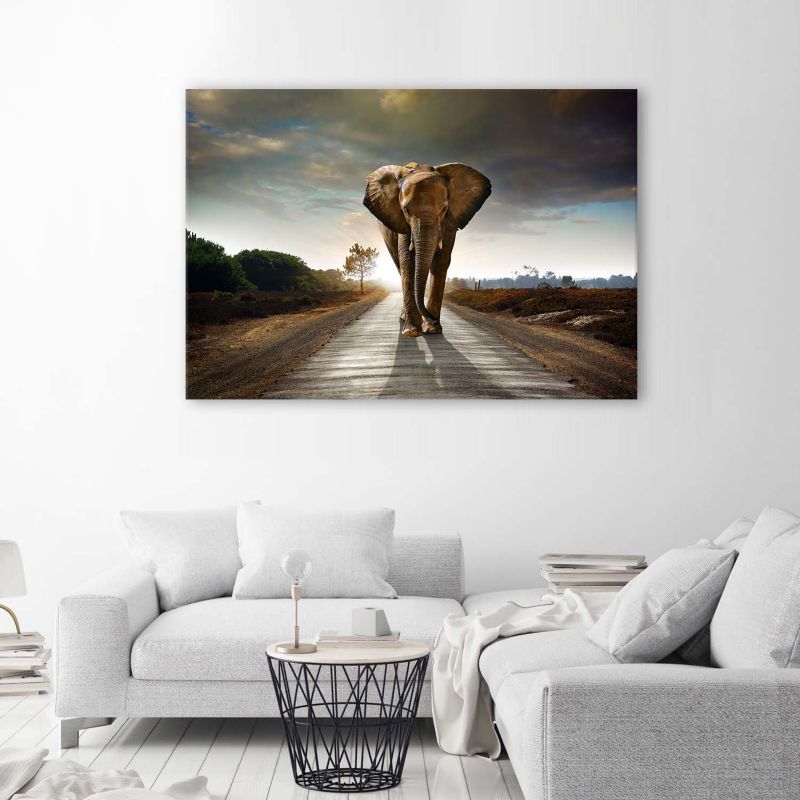 Obraz do salonu nowoczesny Feeby Słoń na drodze Brązowy 120x80cm 1szt
