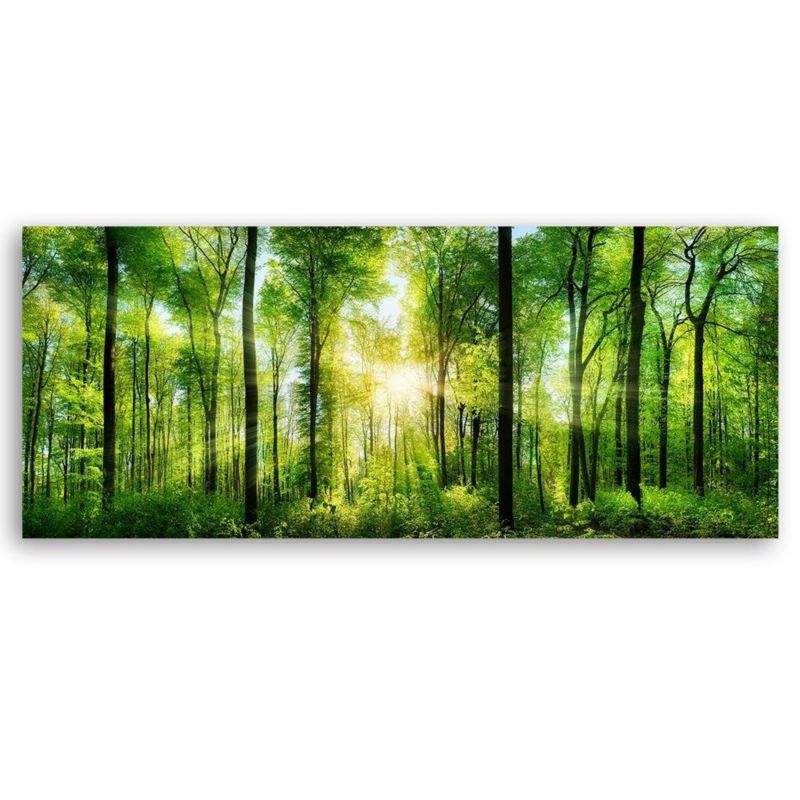 Obraz do salonu pokoju biura Feeby Las Natura Zielony 150x50cm 1szt
