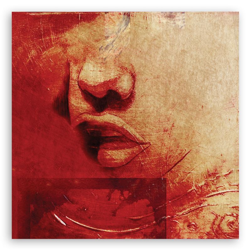 Obraz do salonu pokoju Feeby Abstrakcja Twarz Kobiety Czerwony 50x50cm 1szt